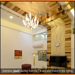 Seamless Jaali starting from the T.V. unit and ending in the ceiling copy.jpg